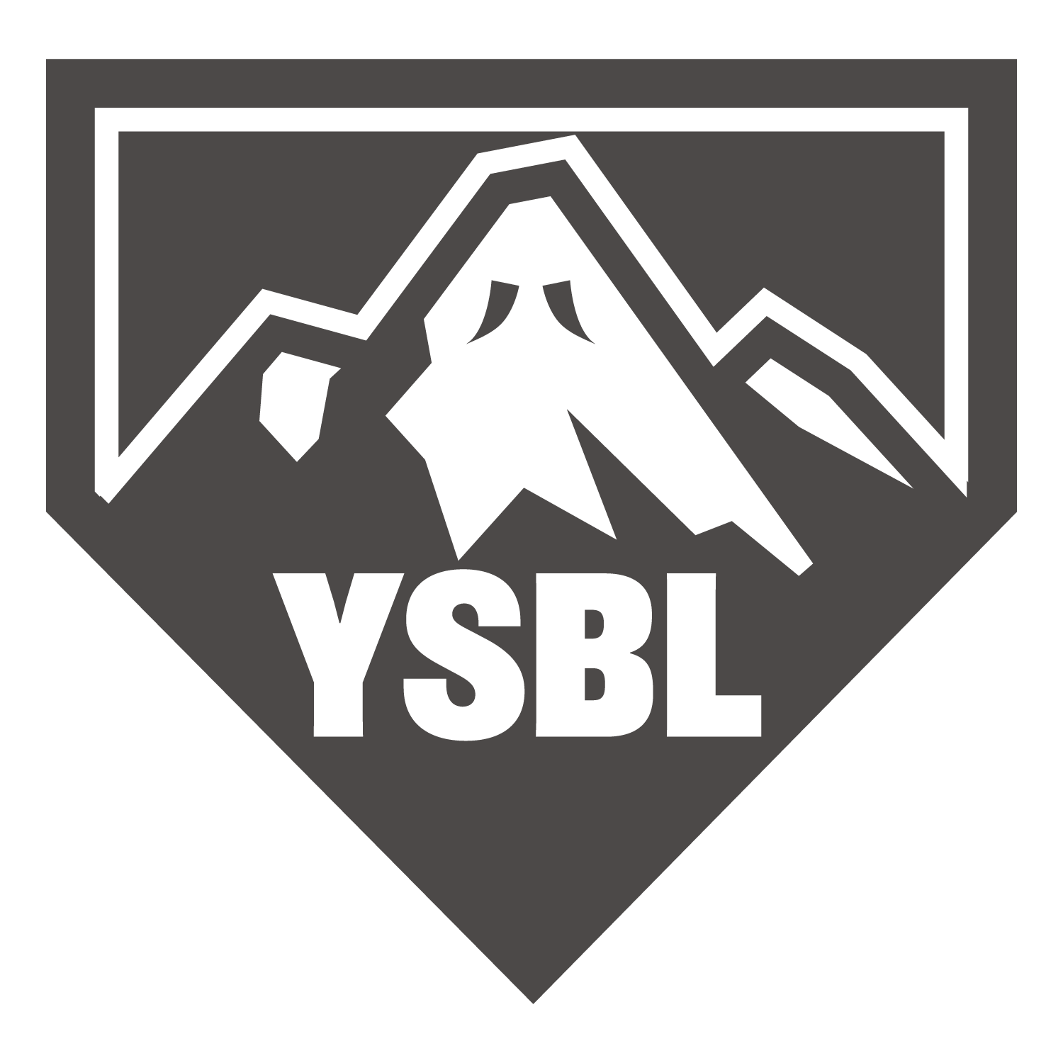 八幡サンデーベースボールリーグ